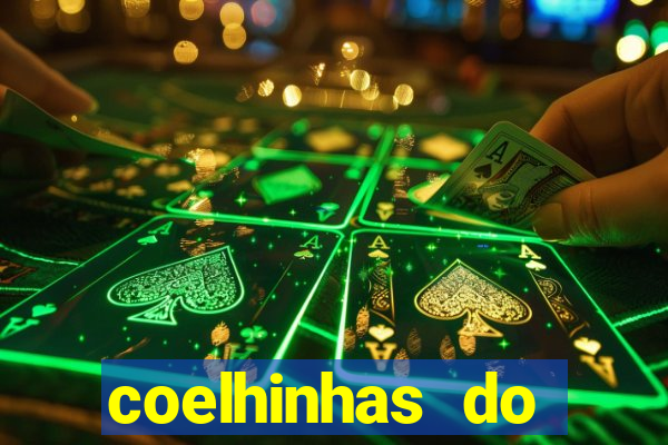 coelhinhas do brasil recife